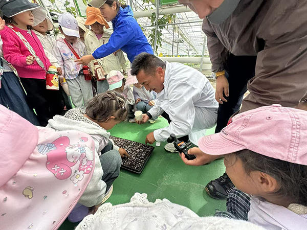 买球官网入口
