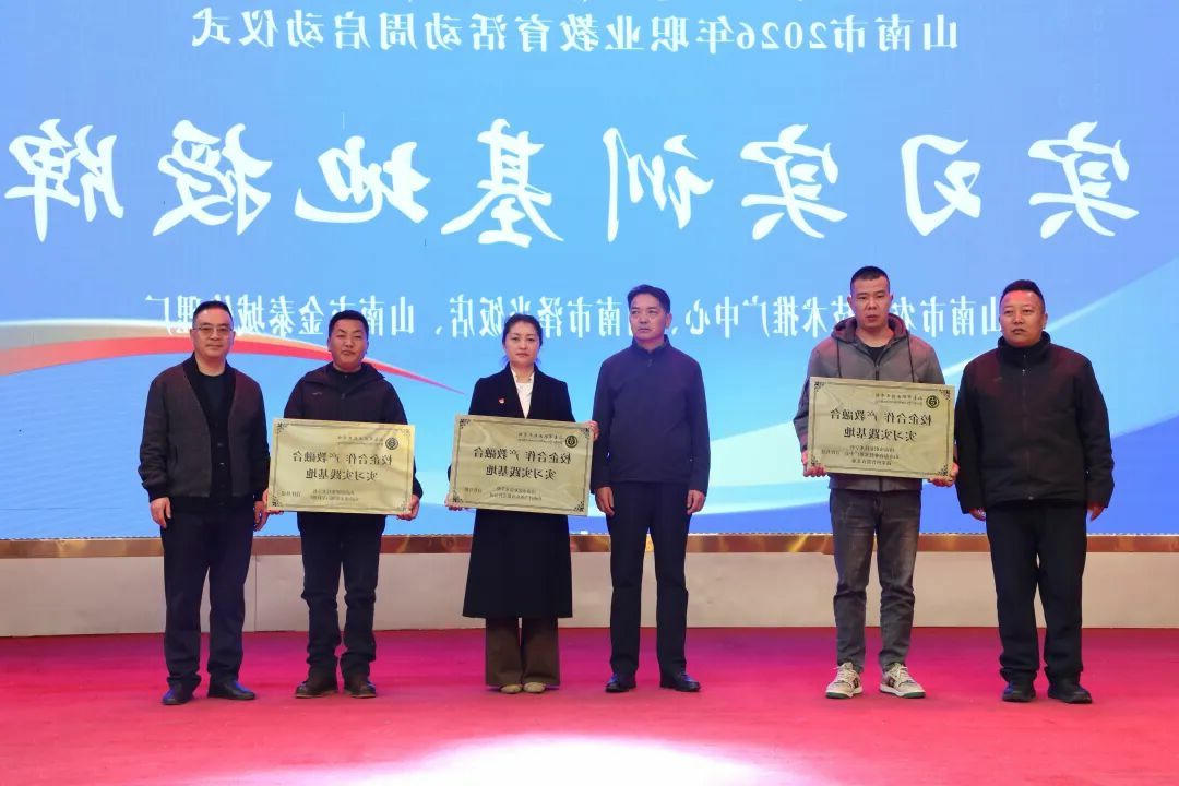 买球官网入口