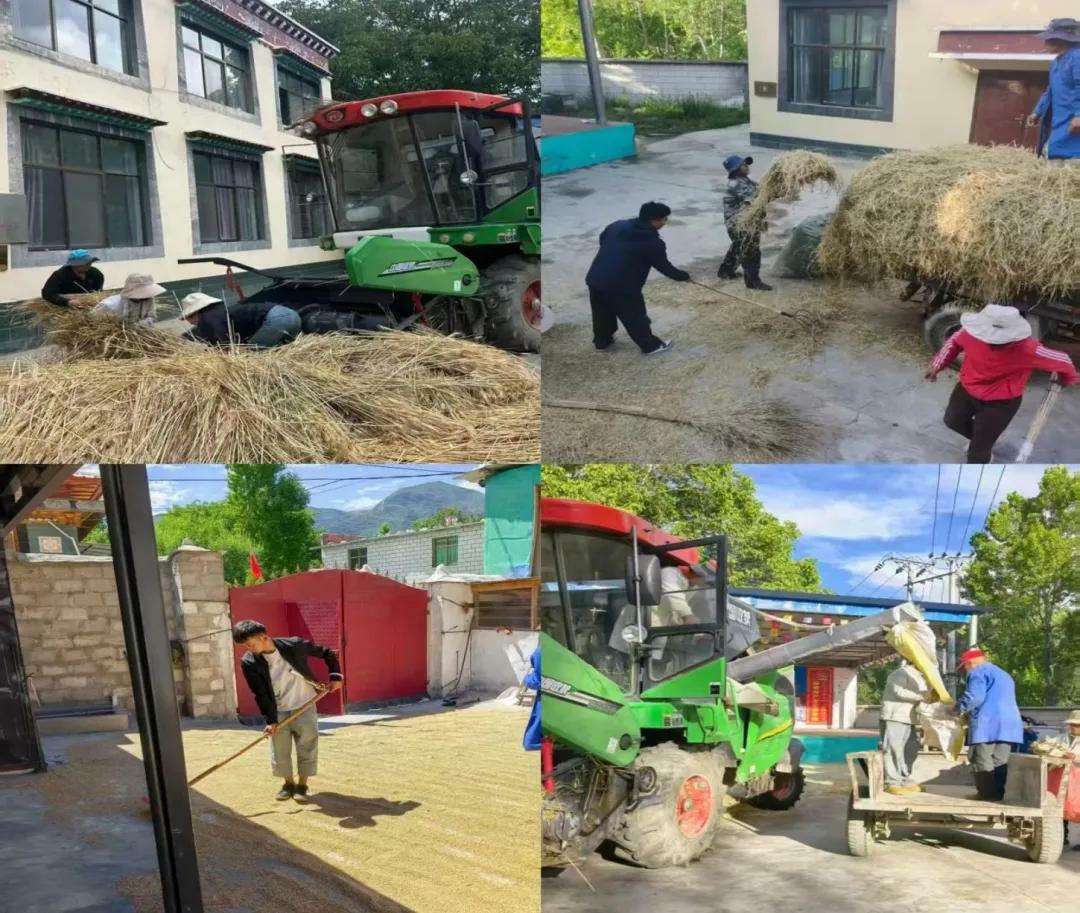 图片3.jpg 买球官网入口